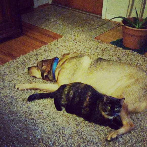 Meet your Posher, Carrie - Picture 6 of 7